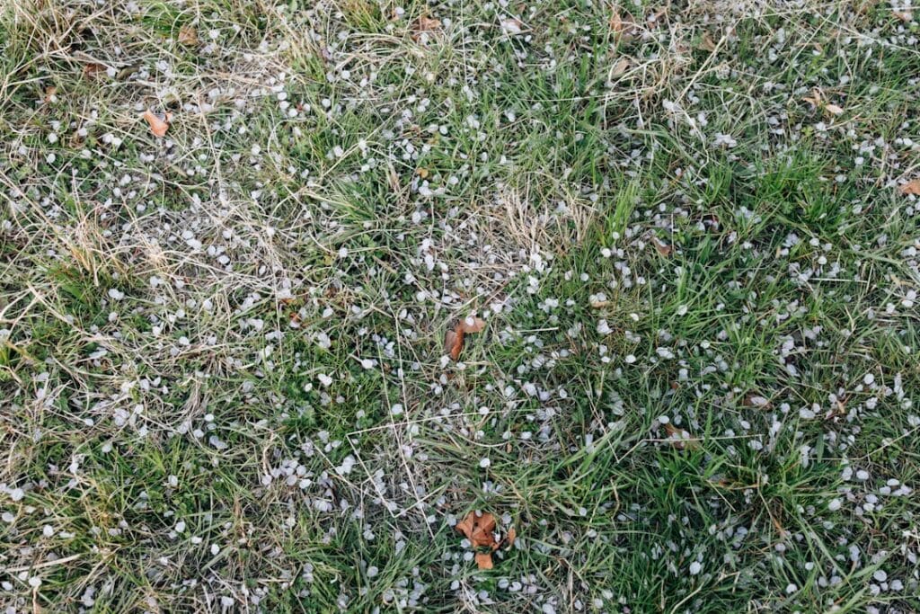 granule loss hail damage