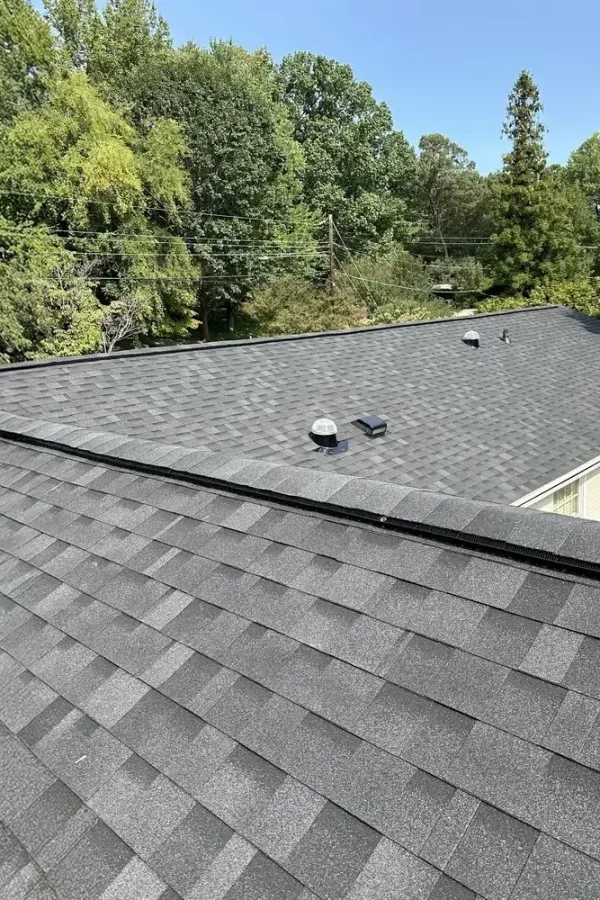 asphalt-shingles (1)